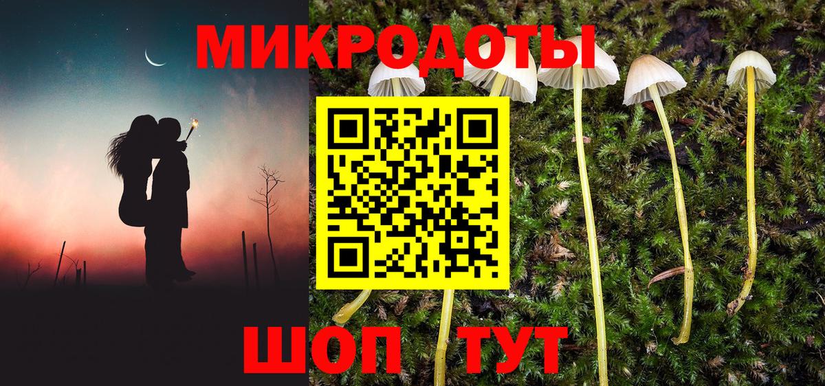 Псилоцибиновые грибы Cubensis  Вход с VPN  Псилоцибиновые грибы прущие грибы  Азнакаево 